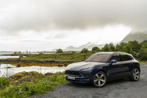 Macan